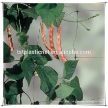 Plastic bi-oriented garden plant support trellis net supporting fruit climbing net